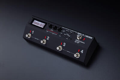 DL01_MS-3_image.jpg