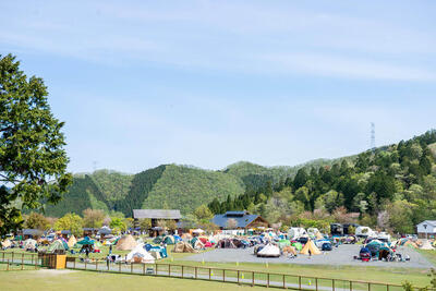 g1.jpg