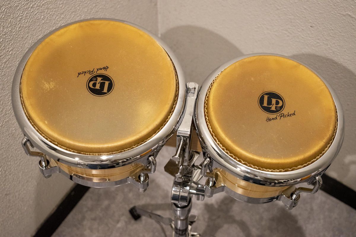 yoyogi_cajon_225.jpg